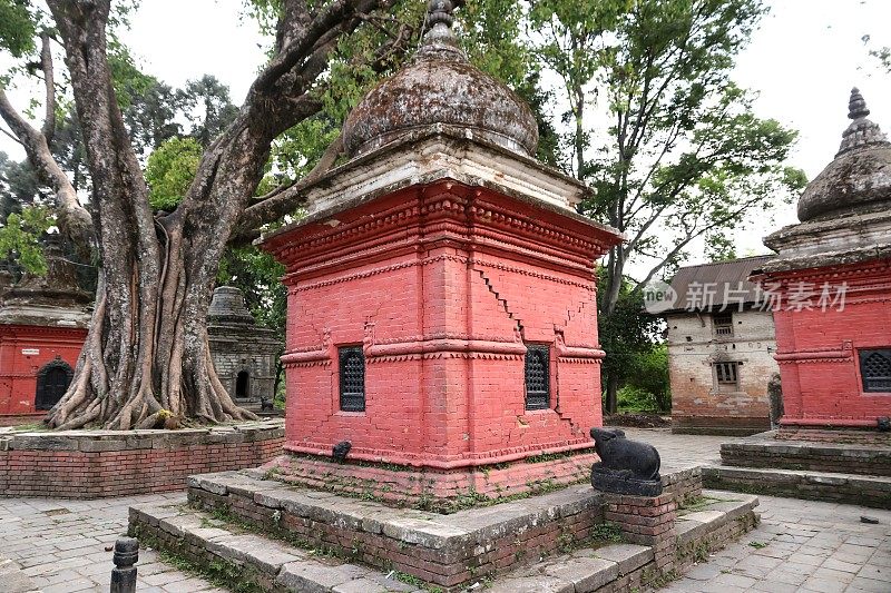 尼泊尔加德满都的Pashupatinath Templein